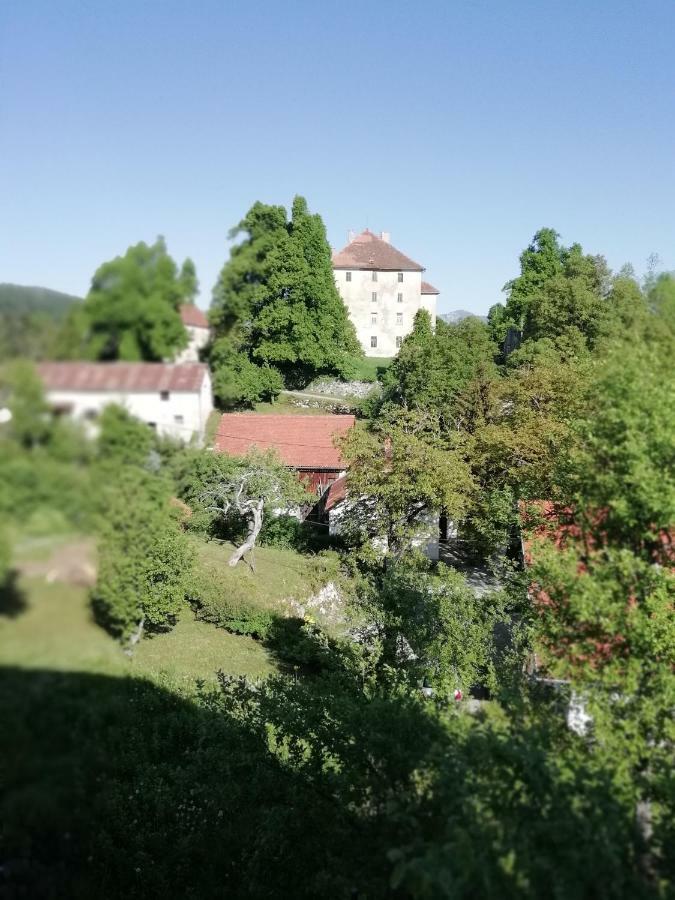 Apartmaji Karbic *